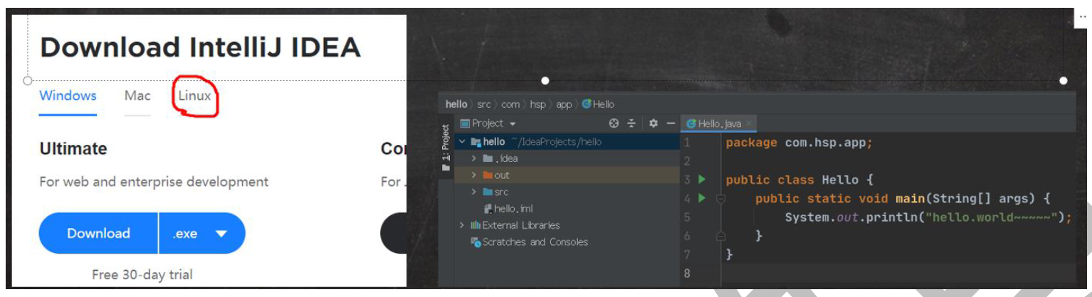 image-20230831185652129